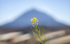 El Teide Poster Print - Ben Heine