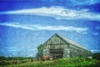 Harvesting Hay Poster Print - GST