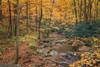 Roaring Fork Stream Poster Print - Online Galloimages