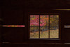 Roaring Fork Cabin Window Poster Print - Online Galloimages