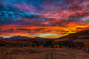 A Sunset To Remember Poster Print - Bill Sherrell