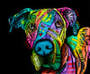 Indelible Dane Poster Print - Russo Collection Dean