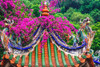 Dragon roof-Zhongde Temple-Xiamen-Fujian Province-China Poster Print - William Perry