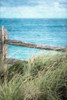 Beach Fence on the Dune Poster Print - GST