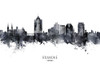 Roanoke Virginia Skyline Poster Print - Michael Tompsett
