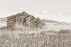Old Log Cabin Sepia Poster Print - Jennie Marie Schell