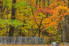 Fall Fence Scene Poster Print - Online Galloimages