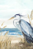 Beholding the Blue II Poster Print - Eva Watts