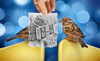 Pencil Vs Camera 66 - Singing Birds Poster Print - Ben Heine