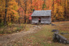 Alex Cole Cabin Poster Print - Online Galloimages