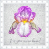 Floras Sillius Iris You Were Here Poster Print - GST