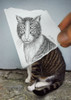 Pencil Vs Camera 6 - 4 Eyes Cat Poster Print - Ben Heine