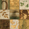 Nature^s Touch II Poster Print - Chris Donovan