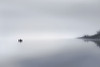 In the Fog Poster Print - Don Schwartz