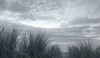 The Dunes at Manzanita Poster Print - Don Schwartz