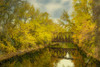 Tranquil Creek in Autumn Poster Print - Don Schwartz