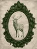 Framed Elk in Evergreen Poster Print - Studio SEA