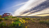 Rusty Old Car in the Wildflowers Poster Print - Don Schwartz