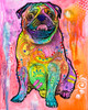 Pugs And Kisses Poster Print - Russo Collection Dean