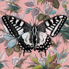 Butterfly Wallpaper Square Poster Print - Dean Russo