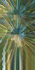 Warp Drive Poster Print - David Manlove