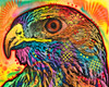 Hawk eye Poster Print - Russo Collection Dean