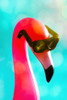 Flamingo Basking in Boca Bokeh Poster Print - GST