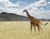 Once Upon a Time in Kenya - 3 Poster Print - Ben Heine
