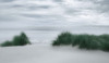 View Through the Dune Grasses Poster Print - Don Schwartz