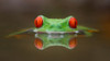Burning Eyes Poster Print - Kutub Uddin