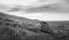 Abandoned in the Field Poster Print - Don Schwartz
