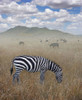 Once Upon a Time in Kenya - 1 Poster Print - Ben Heine