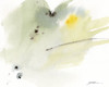 Illumination Poster Print - Sheila Golden