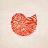 Shell Poster Print - Emel Tunaboylu