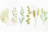 Those Who Look For Beauty V2 Poster Print - Ann Bailey