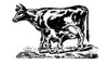Cow and Calf Poster Print - Licensing Studio Art