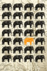 Elephants Poster Print - ArtLab GI
