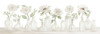 Pretty Posies in a Row Poster Print - Cindy Jacobs