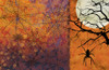 All Hallows eve V Poster Print - Licensing Studio Art
