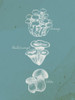 Mushroom Teal 2 Poster Print - Ann Bailey