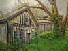 Early Dawn Farm Poster Print - GST