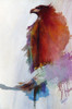 Rainbow Eagle Poster Print - Denton Lund
