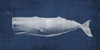 Whale 1 V2 Poster Print - Denise Brown