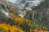 Mountains And Aspens Poster Print - Bill Sherrell