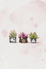 Cute Succulents Poster Print - Xuan Thai