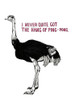 Ostrich Poster Print - Studio NM