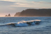 Rialto Beach Waves Poster Print - Alan Majchrowicz