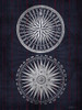 Compass 1 Poster Print - Denise Brown