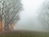 Intriguing Beginnings Poster Print - Kent Burkhardsmeier