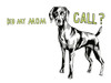Weimaraner Poster Print - Studio NM